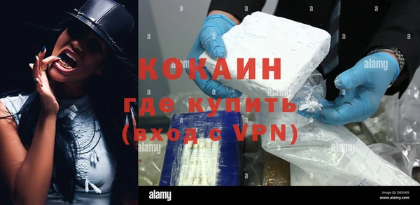 хмурый Алзамай