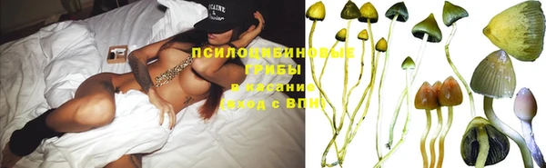 хмурый Алзамай