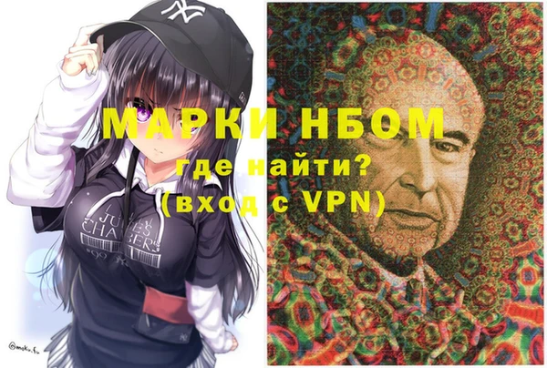 хмурый Алзамай