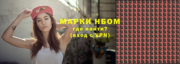 хмурый Алзамай