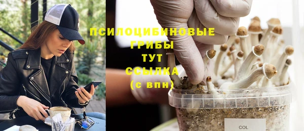 каннабис Алексин